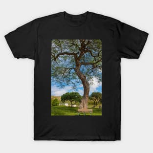 Tree and Bench T-Shirt